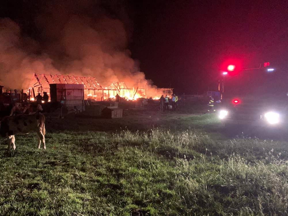 foto - incendiu la o fermă din sibiu - zeci de animale salvate de pompieri
