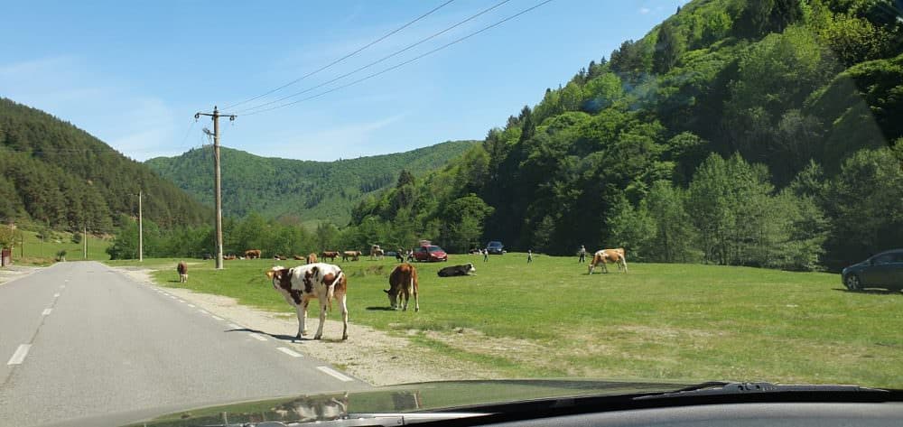 video foto: sibienii s-au întors la „normalitate” - plin de oameni la curmătura ștezii