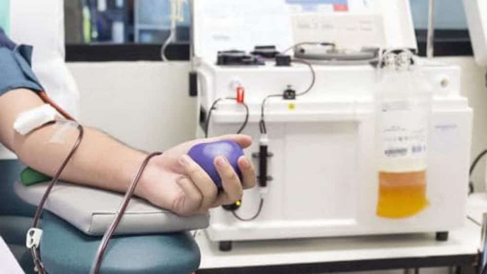 pacienții sibieni vindecați de covid-19 pot salva vieți – sunt chemați să doneze plasmă