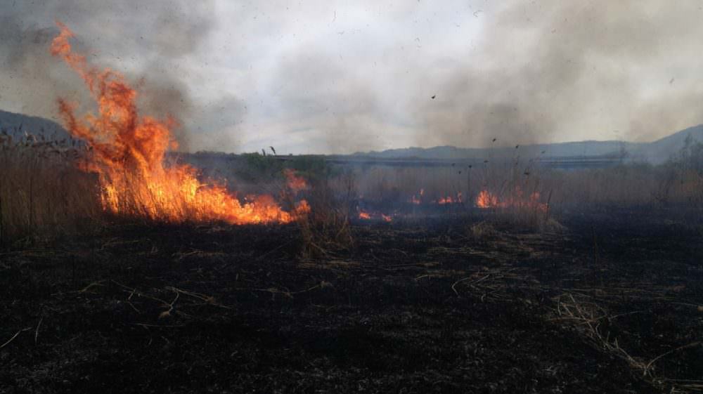 foto: incendiu de vegetație între săliște și săcel