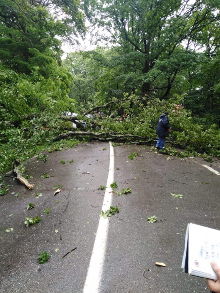 foto: mașină avariată din cauza unui copac căzut la cisnădioara - trafic blocat