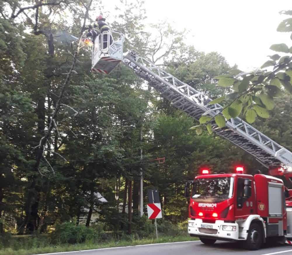 Copac căzut peste firele de tramvai la ieșire din Sibiu spre Rășinari