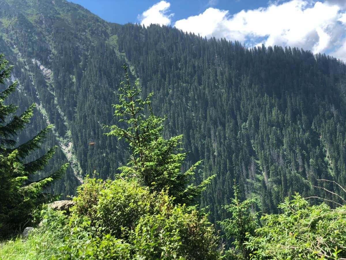 foto: escapadă de weekend pe transfăgărășan - trafic bara la bară, nervi și înghesuială