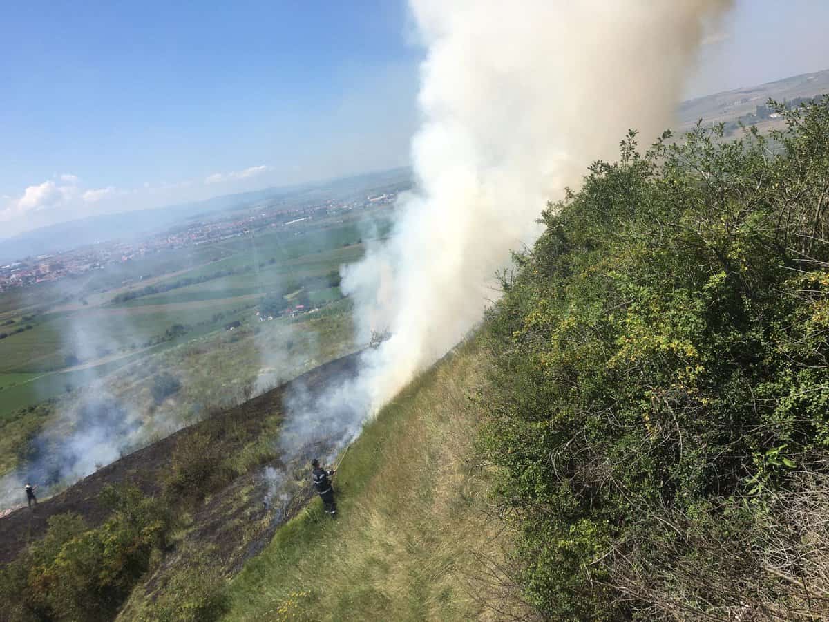 incendiu în gușterița - au ars două hectare de vegetație