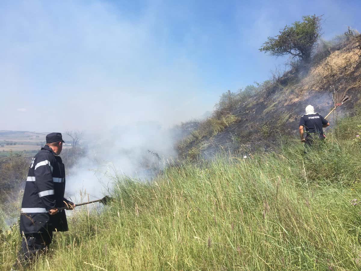 incendiu în gușterița - au ars două hectare de vegetație