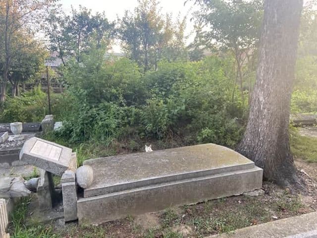 foto cimitir vandalizat la tălmaciu – peste 20 de morminte profanate