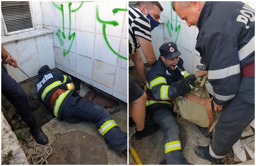 foto: cinste lor! pompierii au salvat mai mulți căței blocați în subsolul unei clădiri pe dumbrăvii
