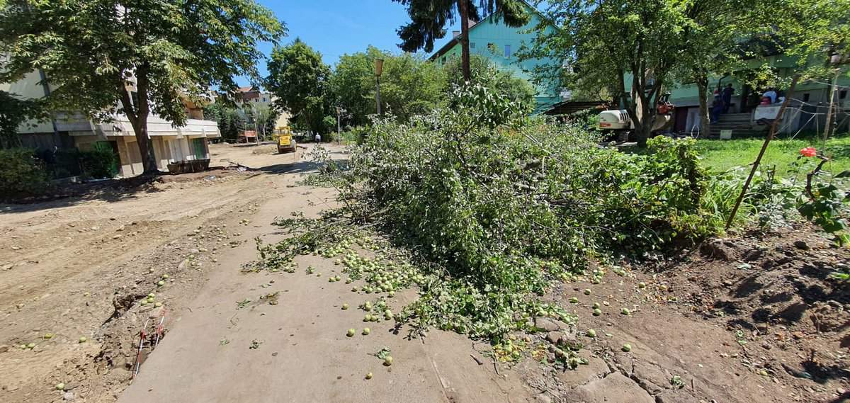 video foto: revoltă în cartierul ștrand - spațiul verde, ras cu buldozerele - „ne distrug cartierul, smulg toți copacii”