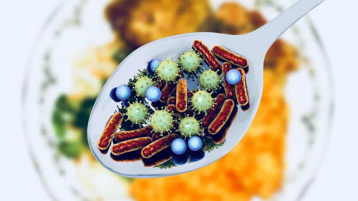 virusul sars cov-2 poate fi transmis prin alimente - studiile se contrazic