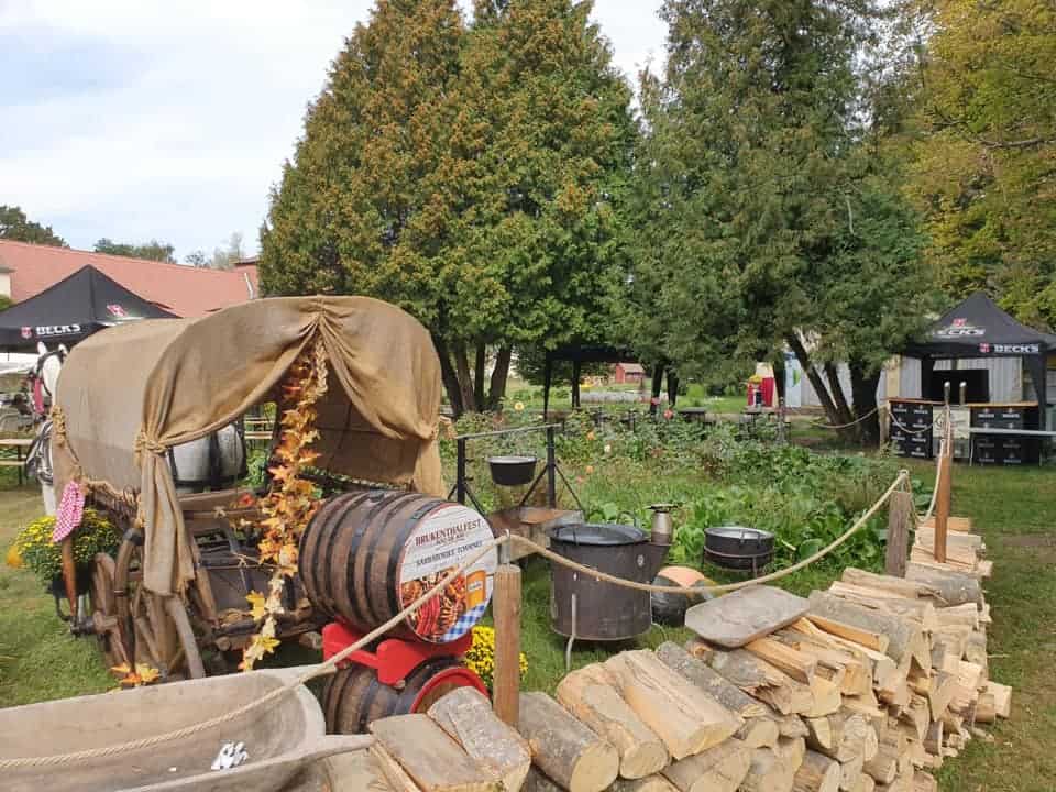 toamna aduce trei săptămâni de petrecere la avrig - începe brukenthalfest