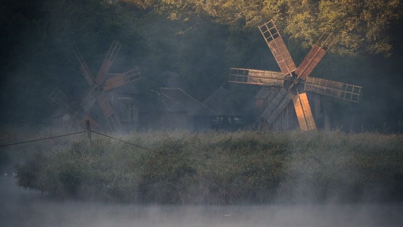 actorul marius manole dă startul astra film festival. proiecțiile din cadrul programului valuri aff vor avea loc cu casa închisă