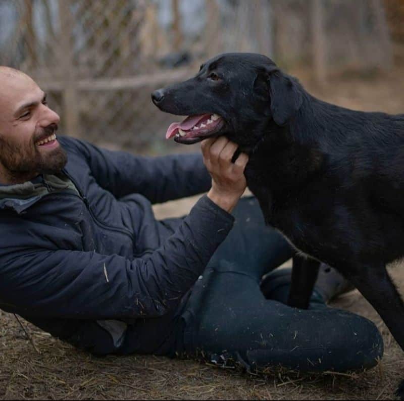 Jurnalul orfanului care a salvat sute de animale - Povestea lui Cosmin, tânărul care doarme într-un grajd la Sibiu