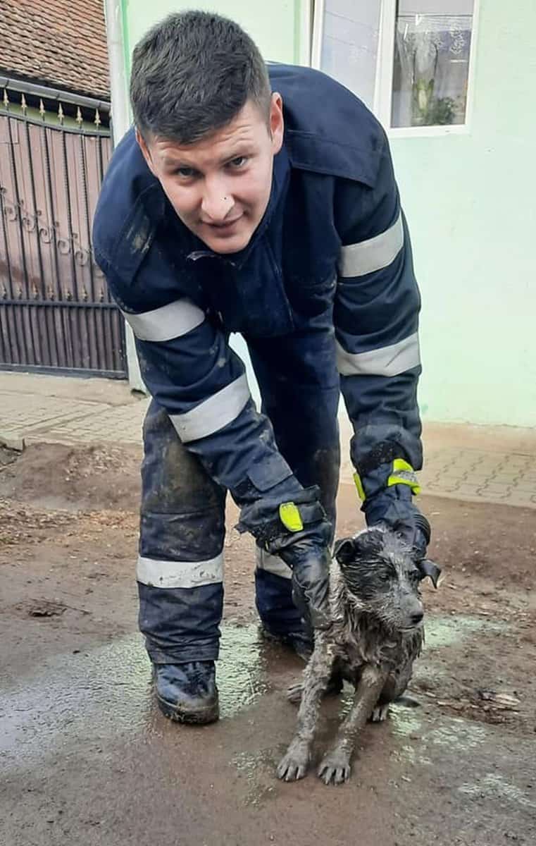 FOTO: Câine blocat într-un canal la Roșia - Pompierii au reușit să îl salveze