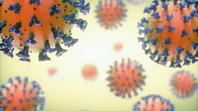 coronavirus sibiu - o persoană a murit în ultimele 24 de ore - 7 persoane internate