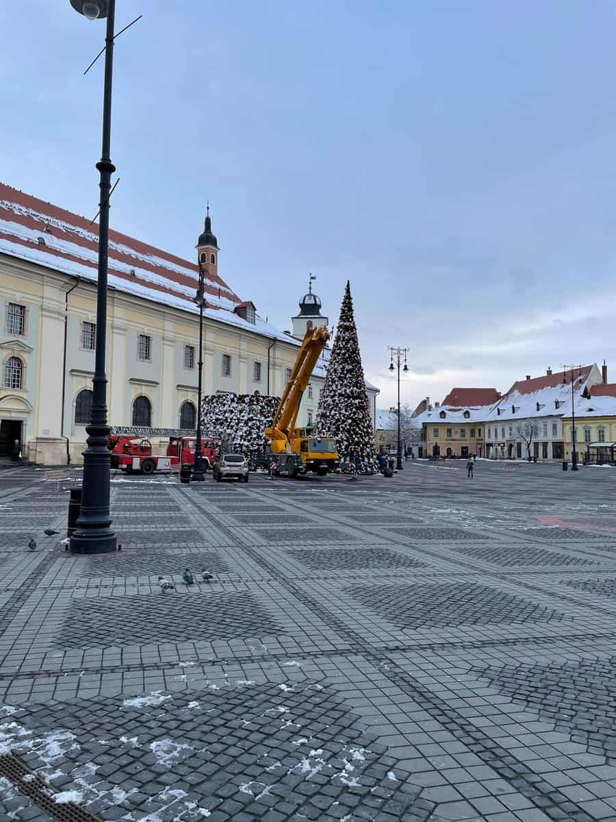 gata cu sărbătorile - se demontează bradul din piața mare