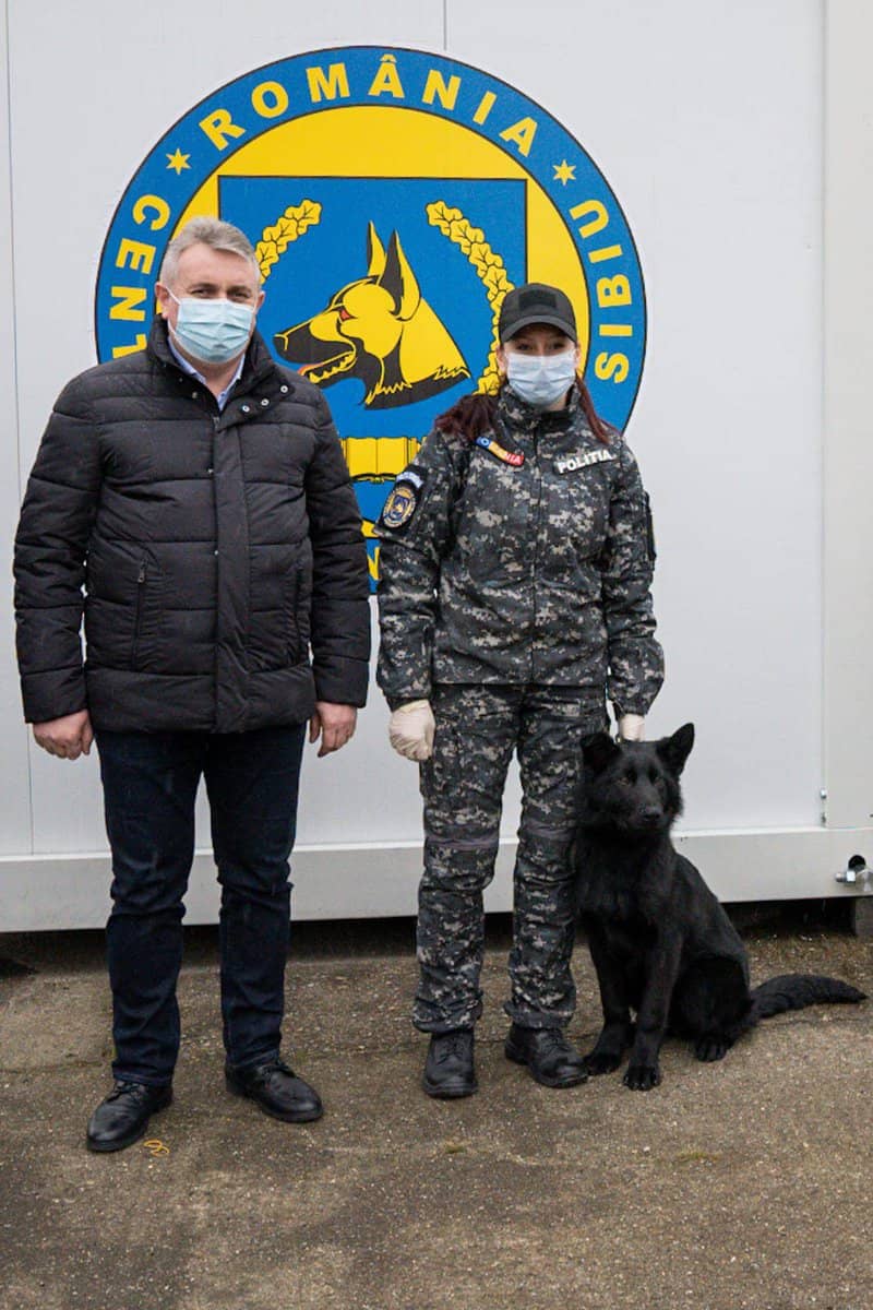 foto - unic în românia - la sibiu sunt antrenați singurii câini care detectează bolnavii cu covid-19