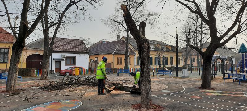 video foto - nemulțumiri legate de noul parc din piața cluj - locuitorii arată cu degetul spre primărie