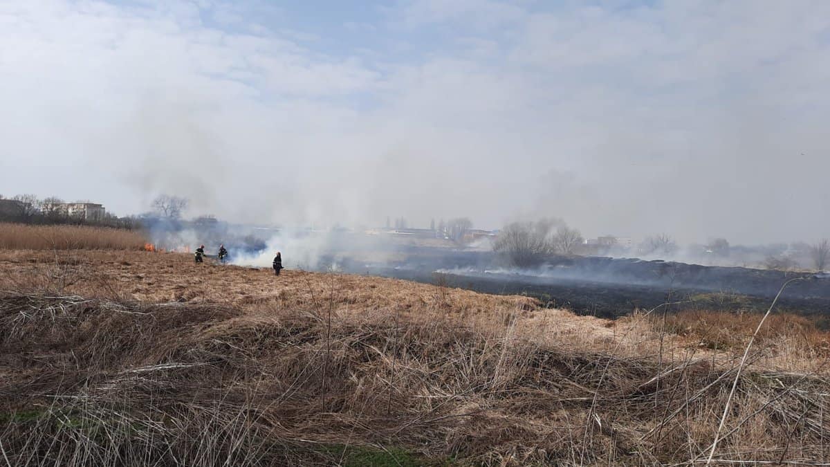 foto: incendii de vegetație întinse pe zece hectare în sibiu