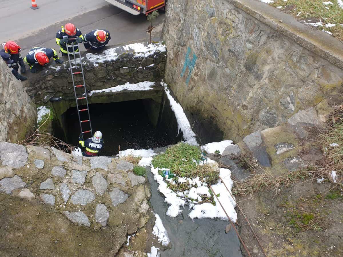 foto misiuni speciale pentru pompierii sibieni - au salvat un câine și două pisici