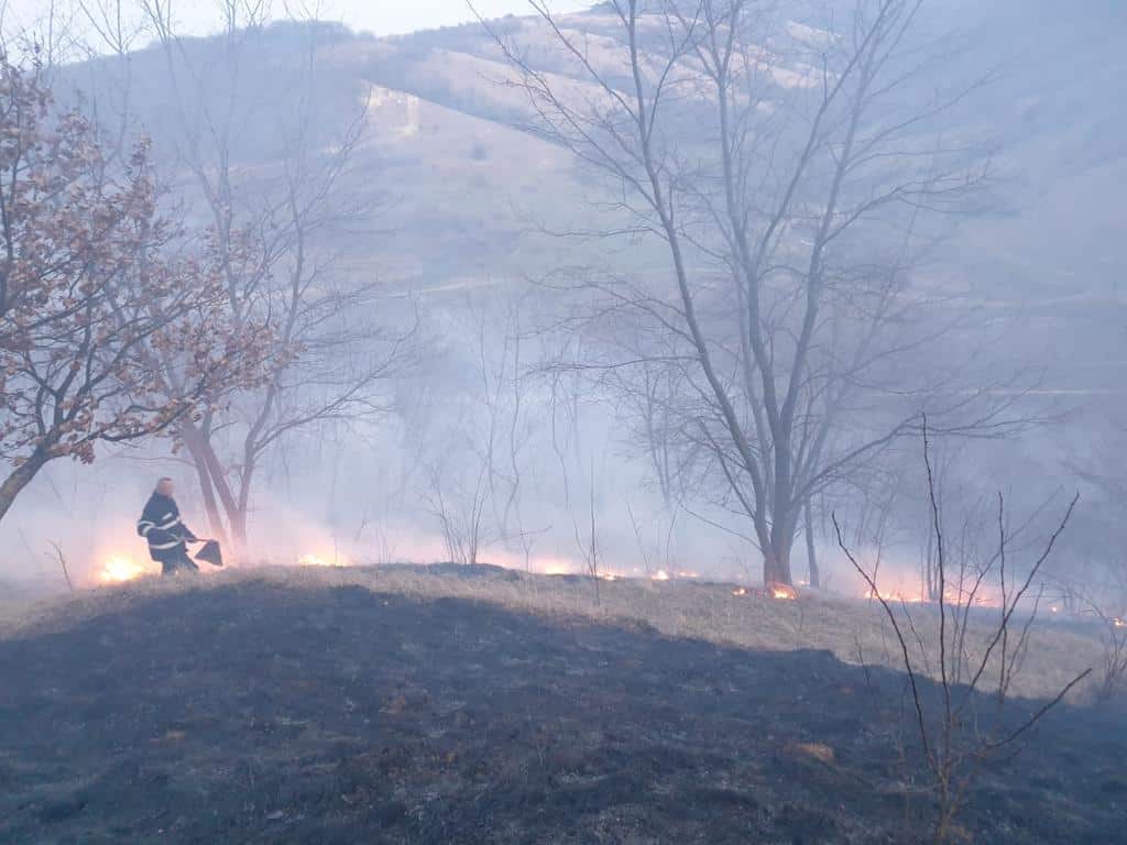 douăzeci de hectare de vegetație uscată au ars la țapu