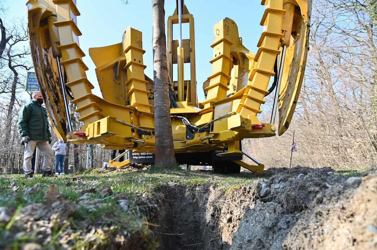 Prima arteră smart din Sibiu - A început relocarea arborilor de pe Calea Dumbrăvii