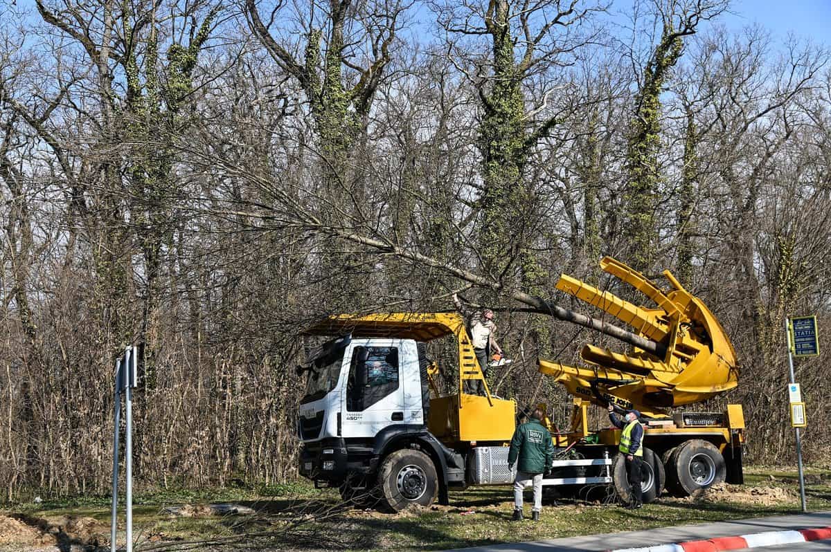 Sibiul, exemplu pentru Cluj - Clujenii au apreciat utilajul de replantat arbori