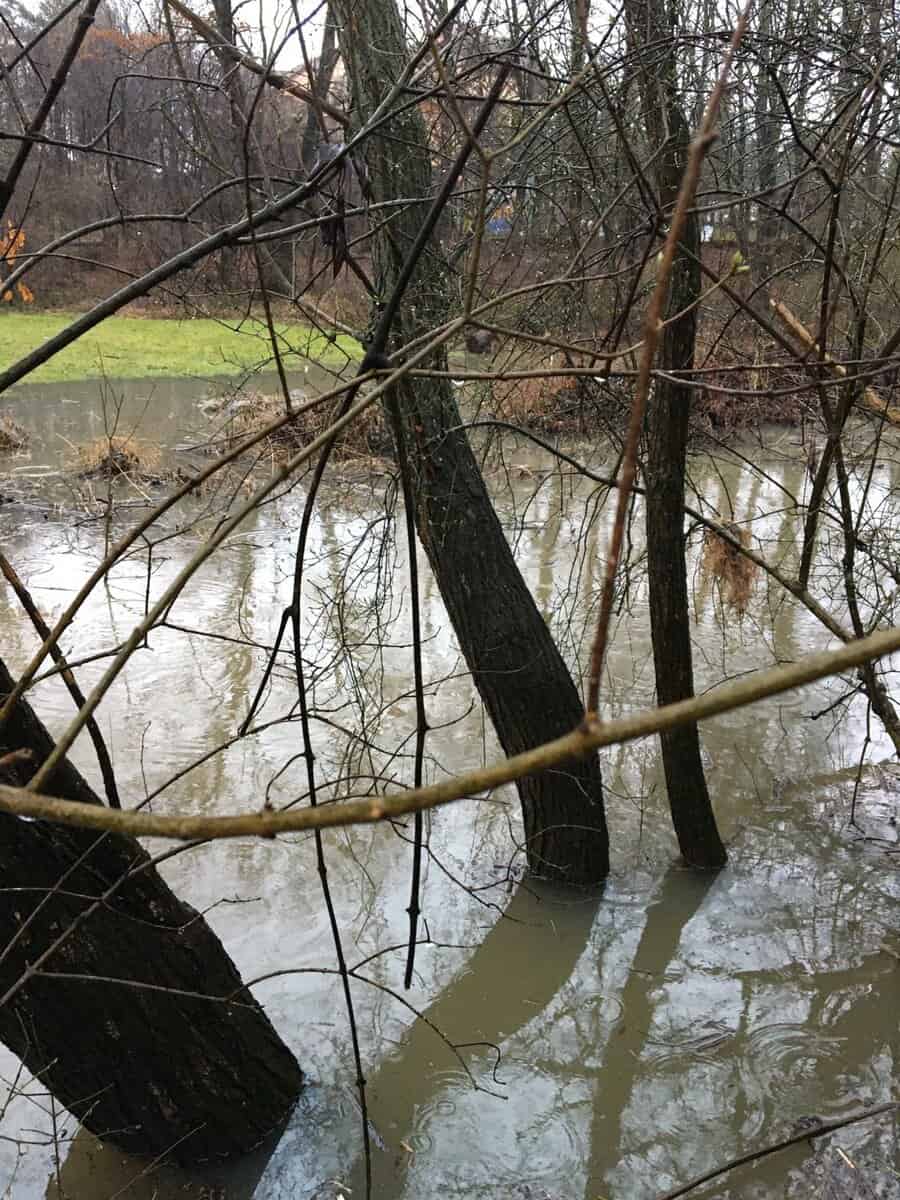 video foto inundații în parcul sub arini - apa a ajuns și într-o gospodărie