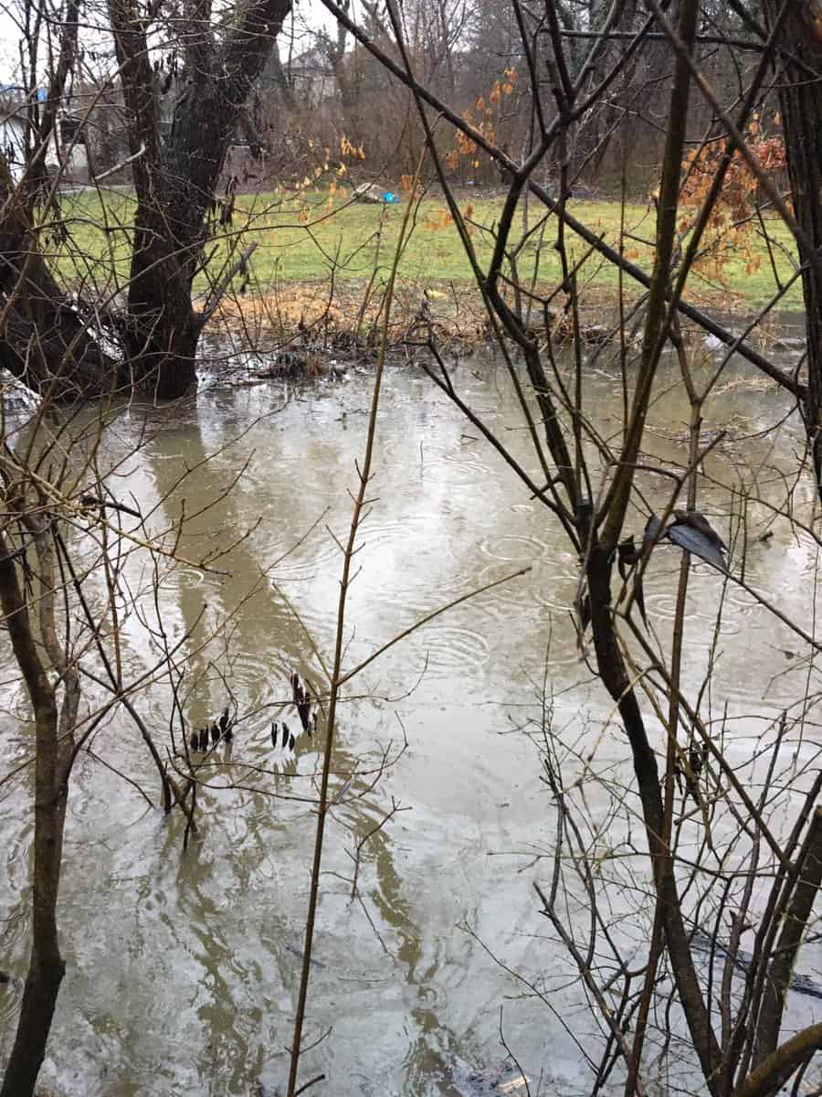 video foto inundații în parcul sub arini - apa a ajuns și într-o gospodărie