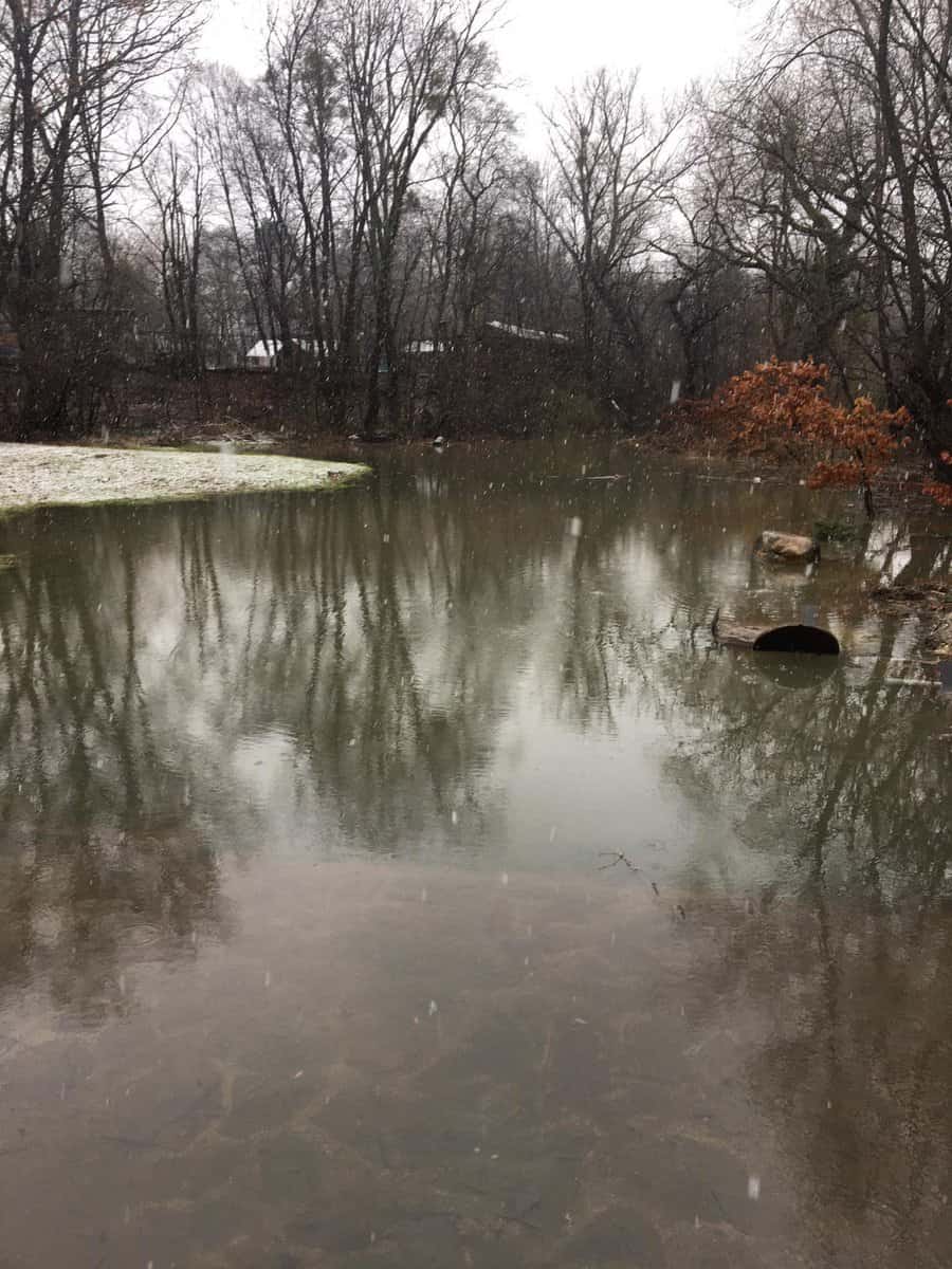 video foto inundații în parcul sub arini - apa a ajuns și într-o gospodărie