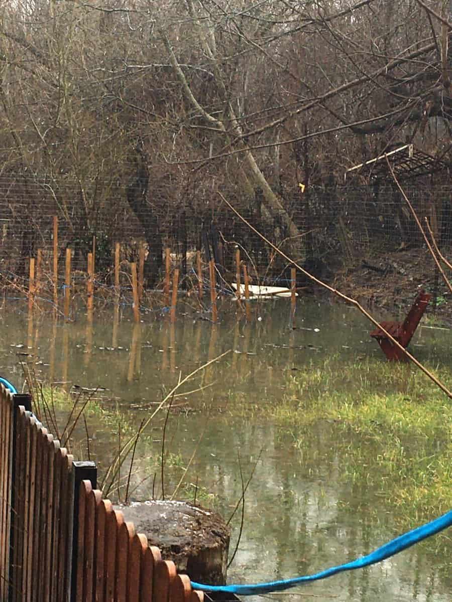 video foto inundații în parcul sub arini - apa a ajuns și într-o gospodărie