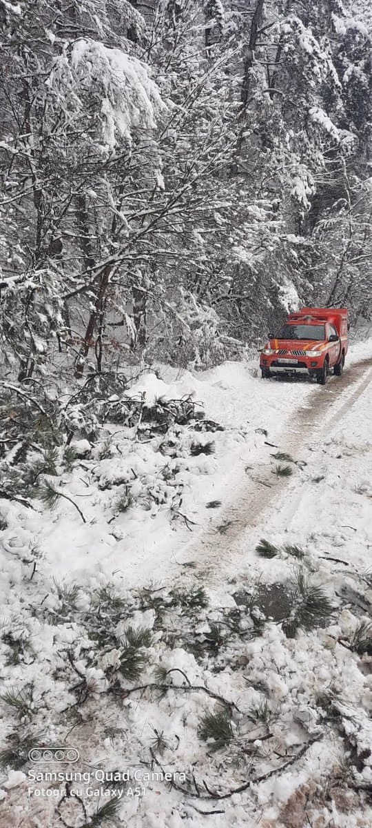 vântul și ninsoarea fac ravagii în județul sibiu - copaci rupți și căzuți pe carosabil