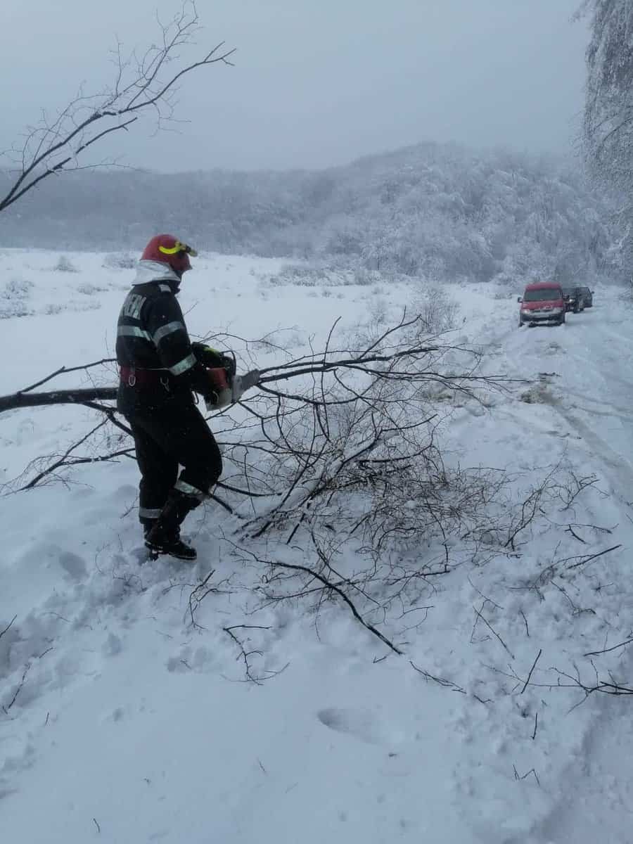 vântul și ninsoarea fac ravagii în județul sibiu - copaci rupți și căzuți pe carosabil