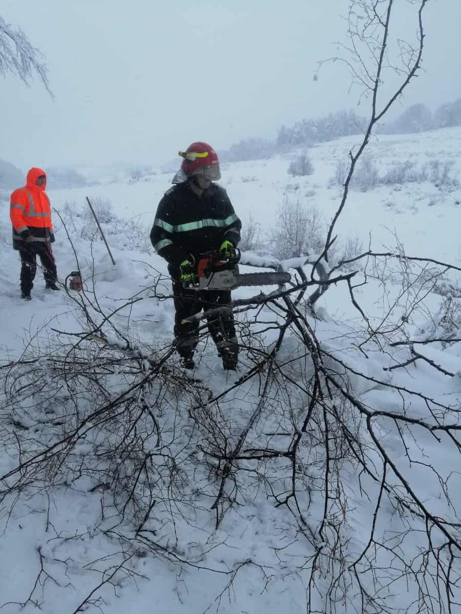 vântul și ninsoarea fac ravagii în județul sibiu - copaci rupți și căzuți pe carosabil