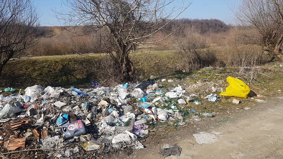 foto - acțiune amplă de ecologizare în avrig - participă sute de voluntari