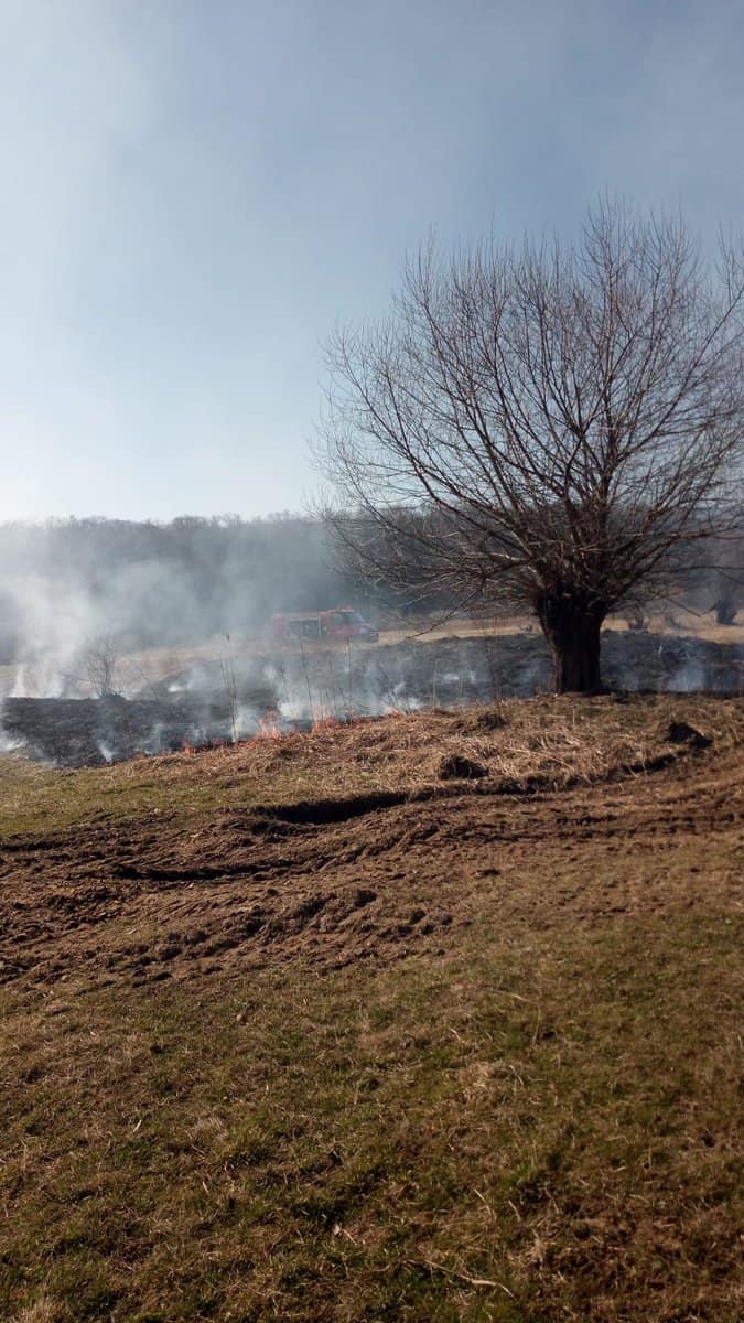 Incendiu de vegetație la Sibiel