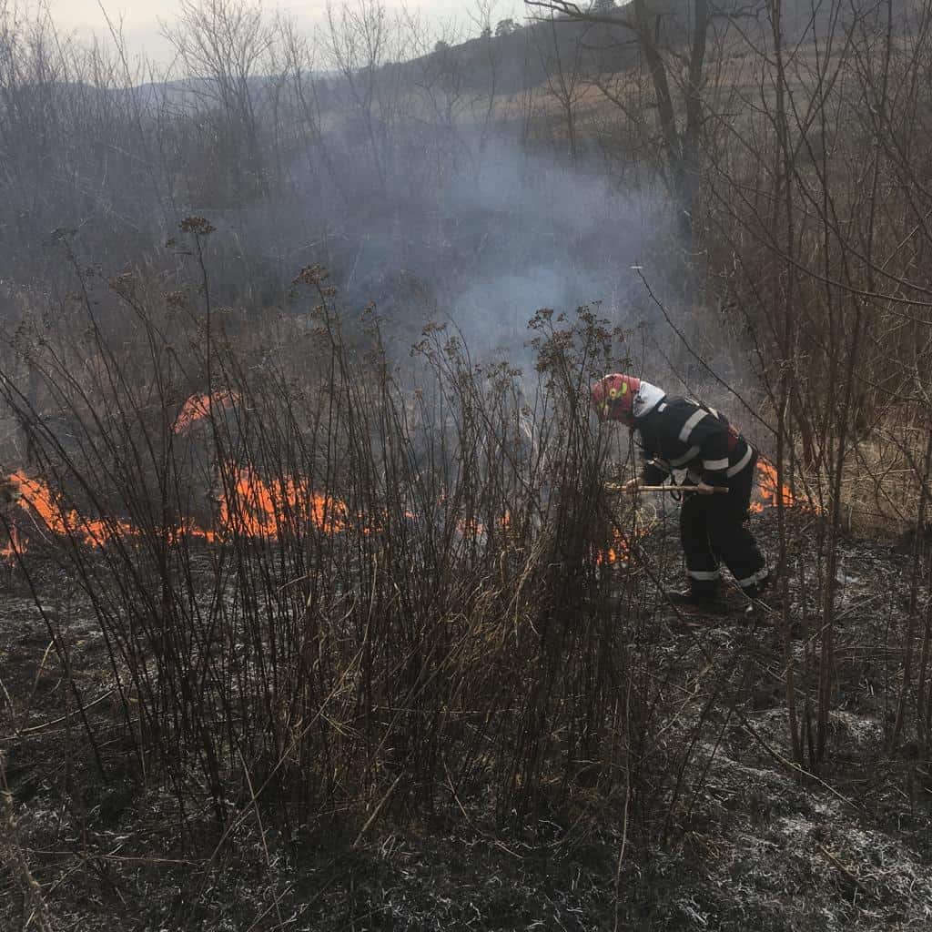 incendii de vegetație în sibiu și agnita