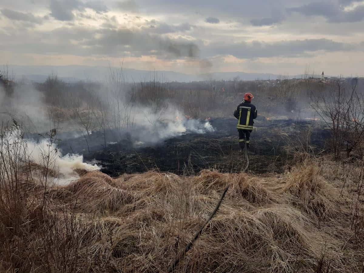 incendiu de vegetație în apropiere de localitatea cristian - saivan pentru oi în pericol