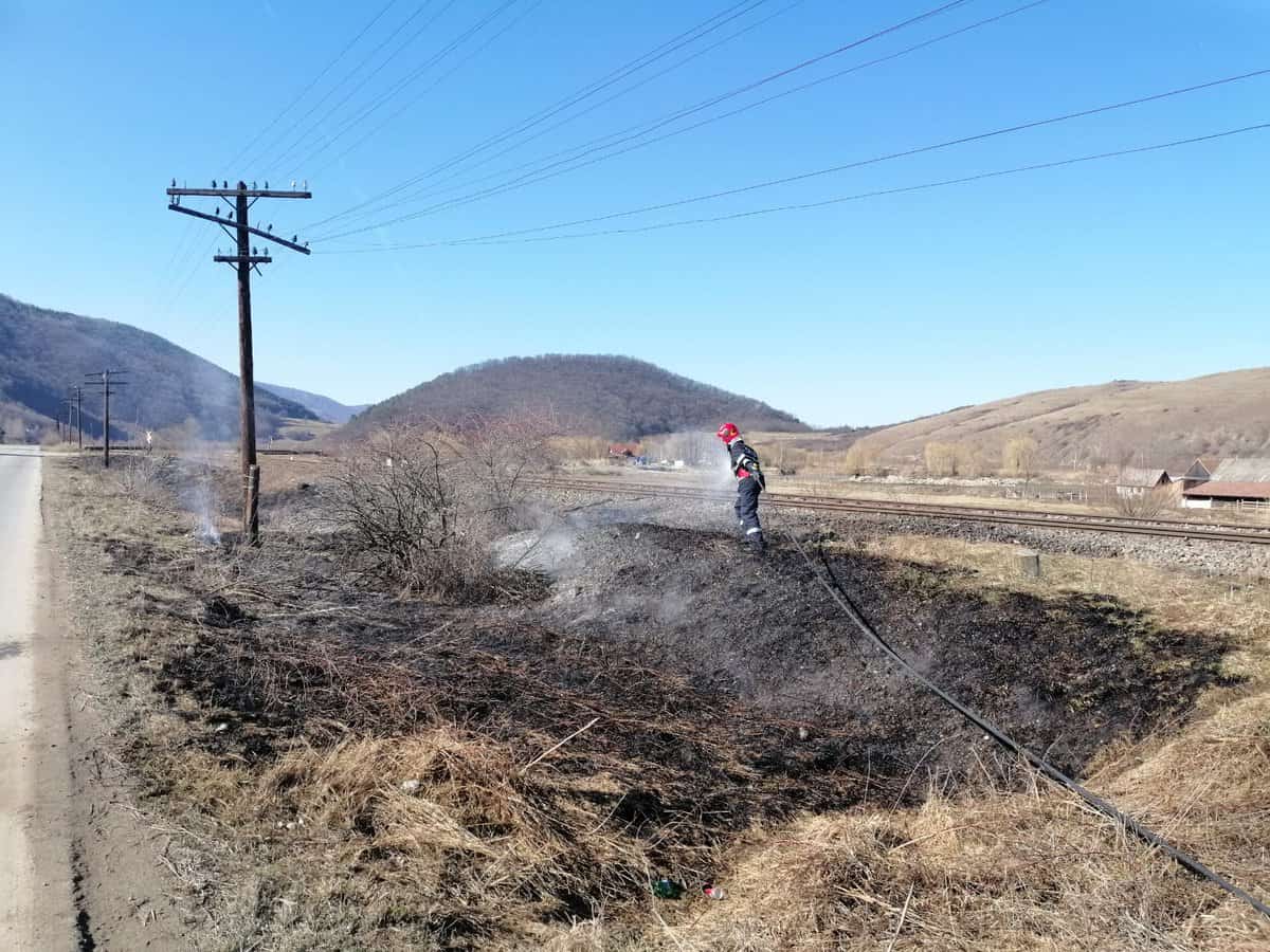 FOTO: Incendiu de vegetație la Orlat