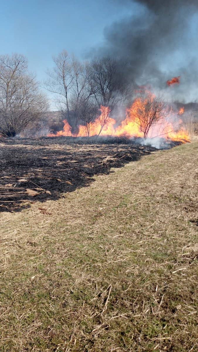 Incendiu de vegetație la Sibiel