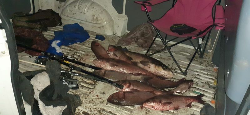 foto - braconieri prinși la ocna sibiului - zeci de kilograme de pește furate dintr-un lac din loamneș