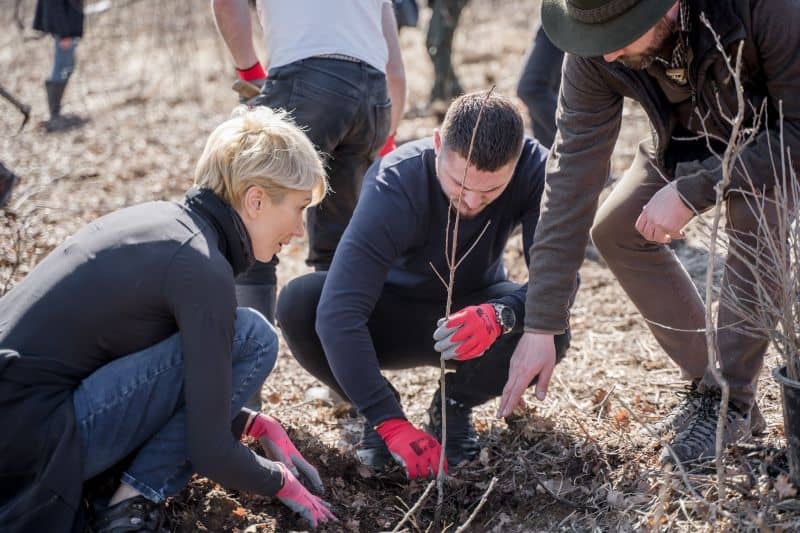 Uniunea Europeană vrea să planteze trei miliarde de copaci