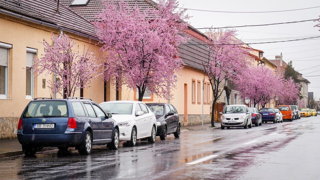 video foto: imagini superbe la sibiu - strada tudor vladimirescu, desprinsă din povești