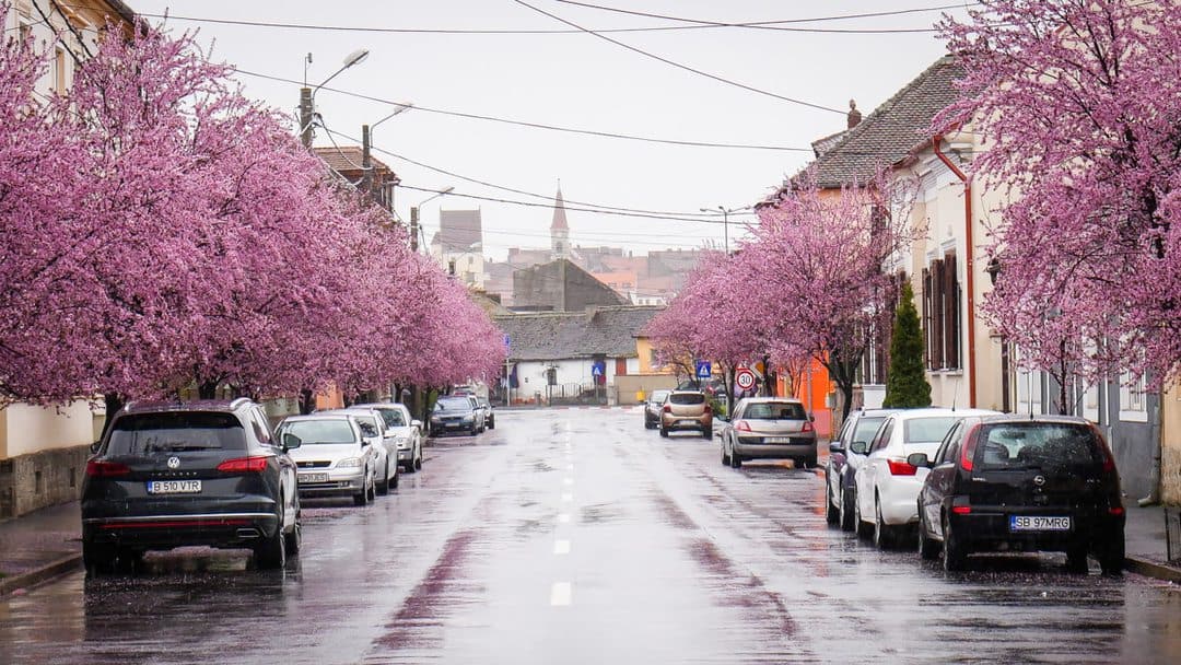 video foto: imagini superbe la sibiu - strada tudor vladimirescu, desprinsă din povești