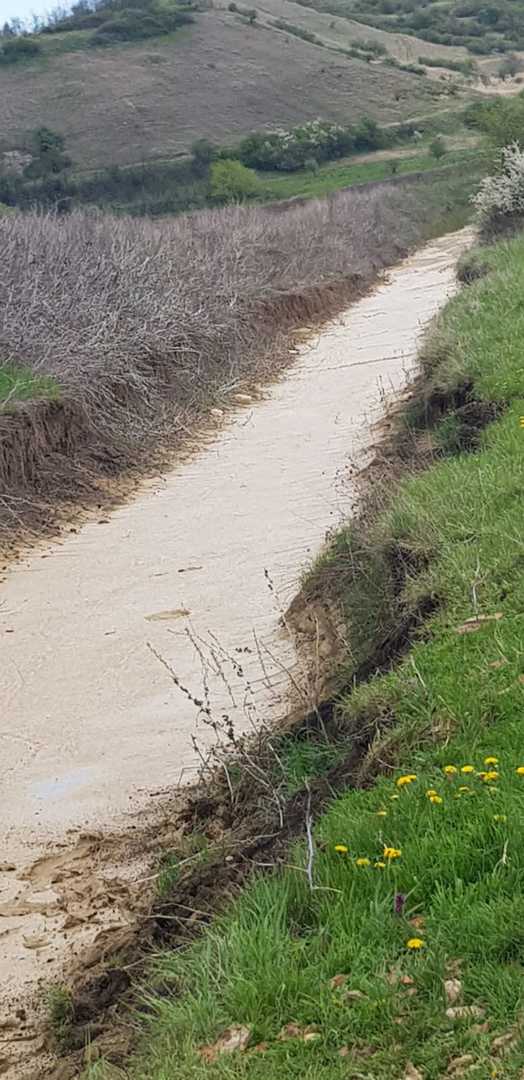 foto - cal salvat de pompieri dintr-un canal cu mâl la apoldu de sus