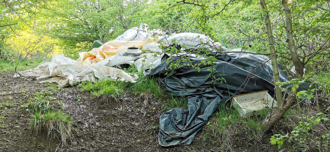 foto: pădurea din dealul gușteriței, plină de gunoaie - „e partea nevăzută a sibiului”