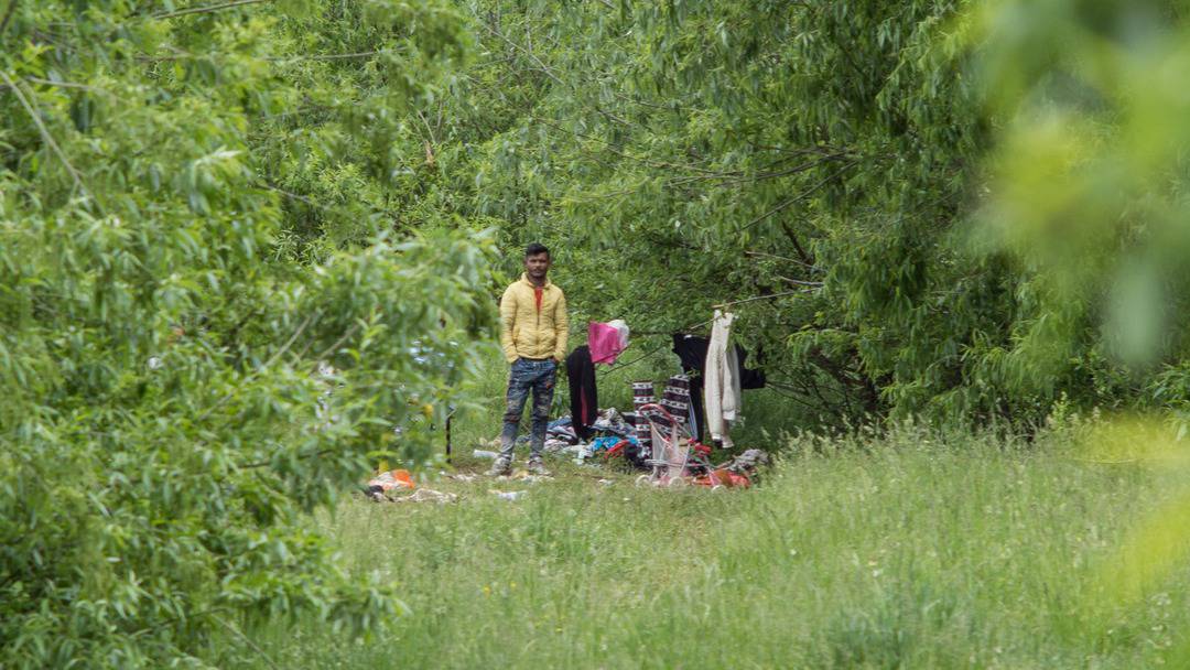 video foto: zeci de romi trăiesc ca în evul mediu la marginea sibiului - „și-au pus corturile aici, fac mizerie și fură”