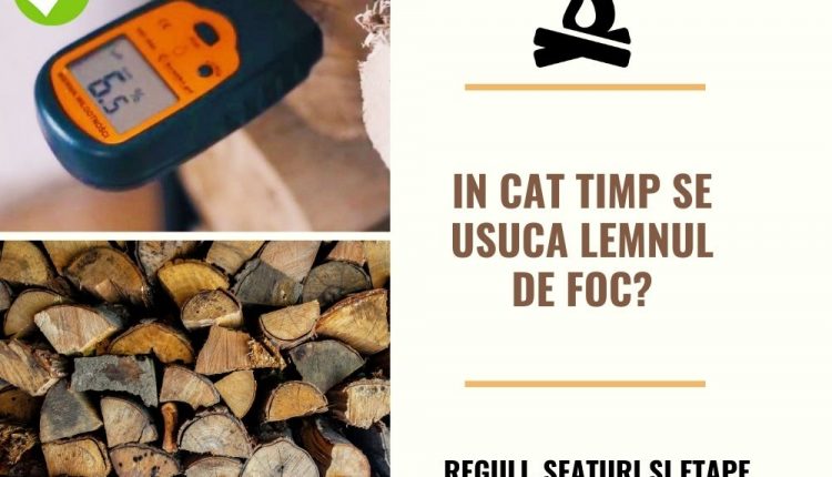 Cat Timp Si Cum Se Usuca Lemnul De Foc Recomandari Reguli Si Etape