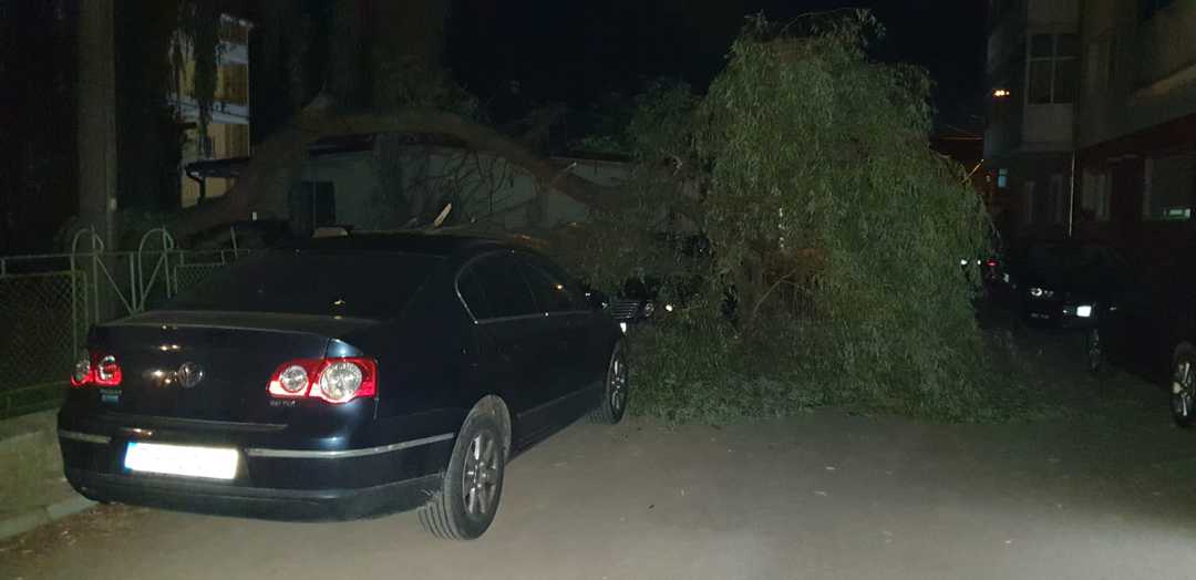 foto copac căzut peste mașini pe o stradă din mediaș