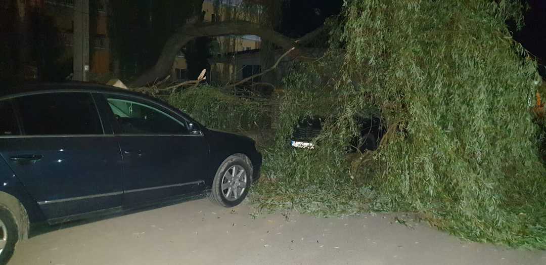 foto copac căzut peste mașini pe o stradă din mediaș