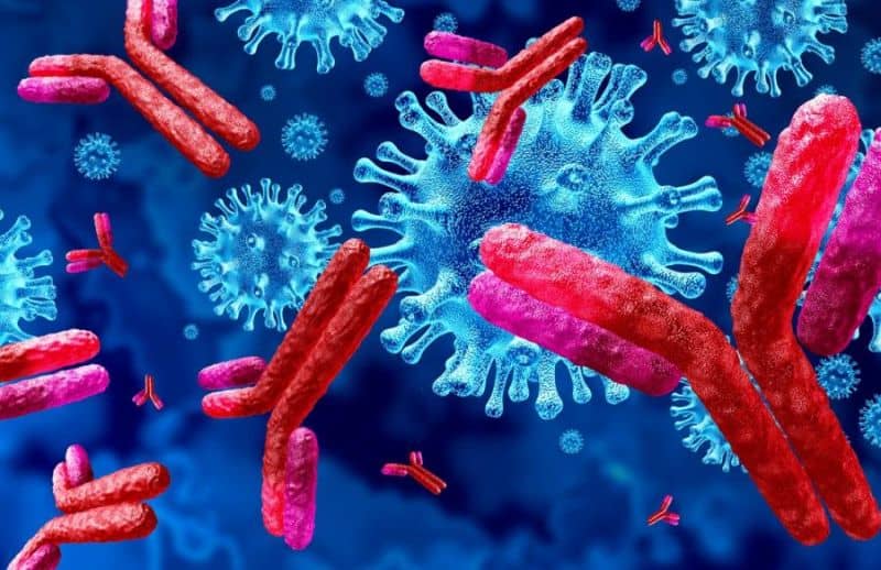 a fost descoperită o nouă variantă a coronavirusului, cu mutații uluitoare în franța